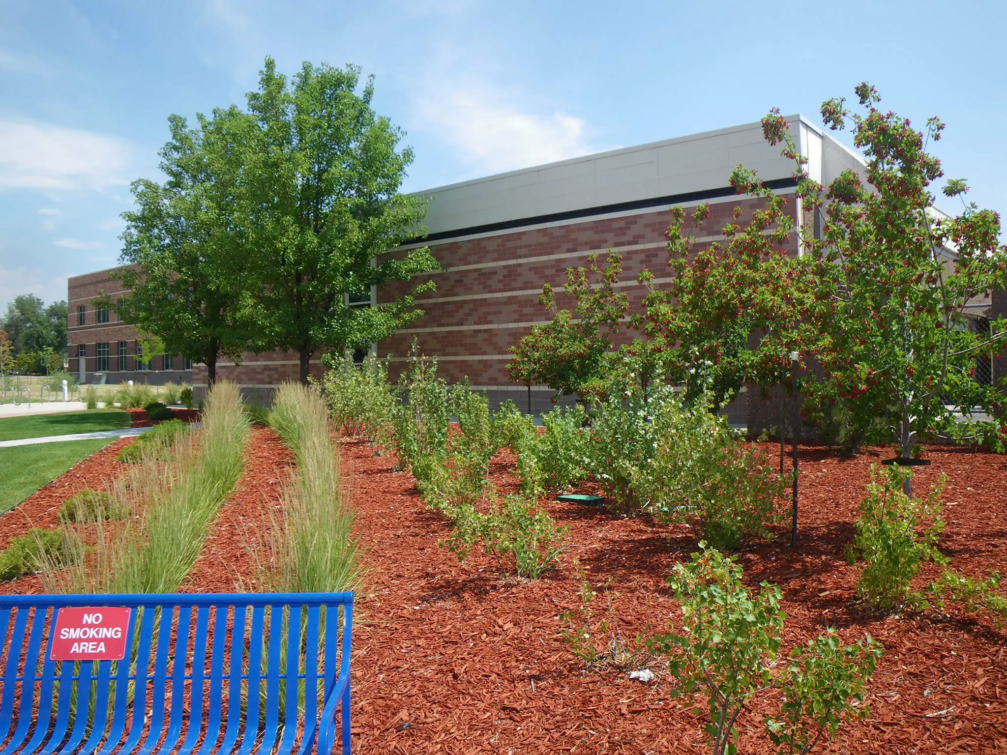 Fort Collins, CO Commercial Landscaping Companies