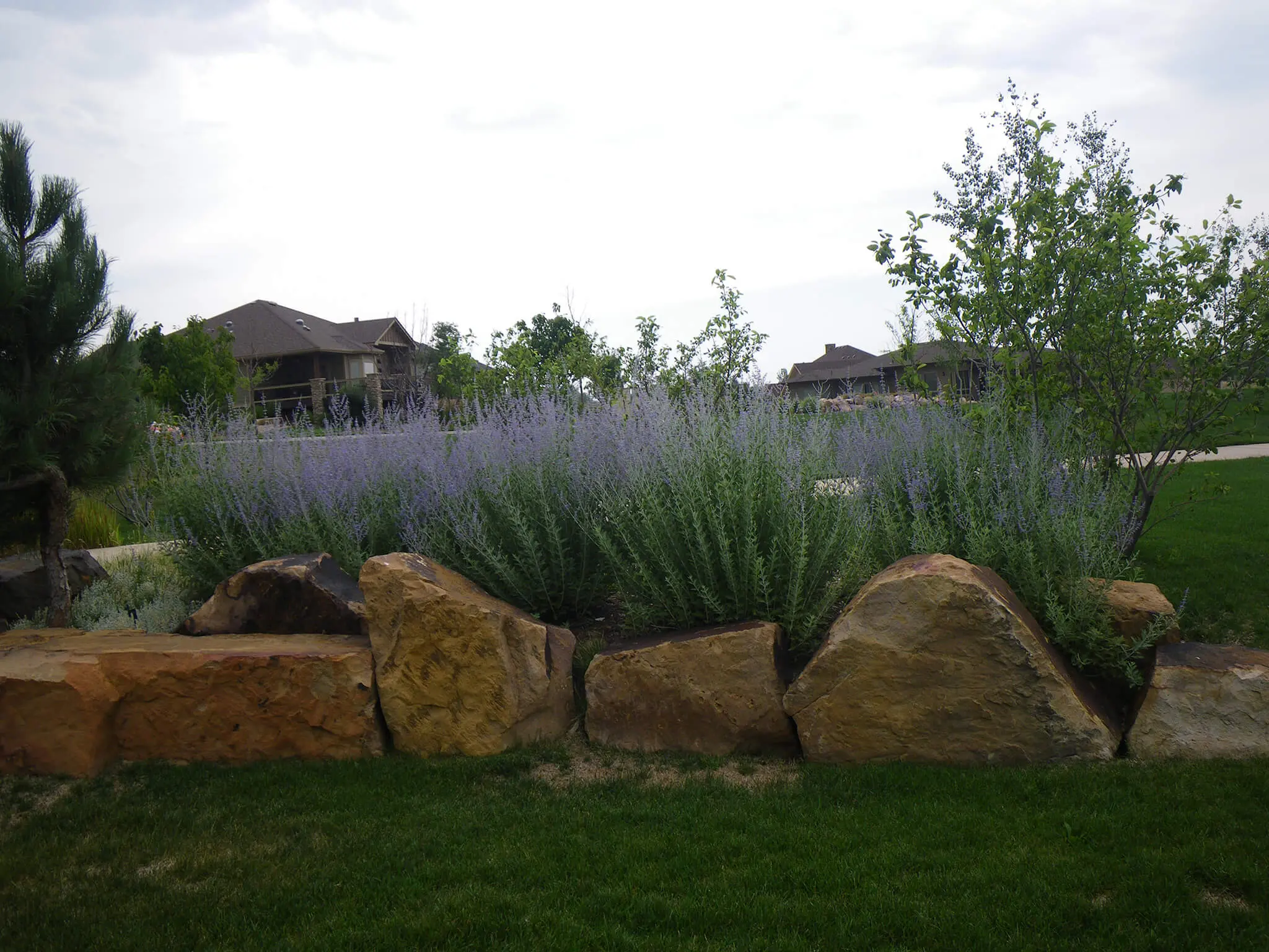 Fort Collins, CO Business With Expert Landscape Installation