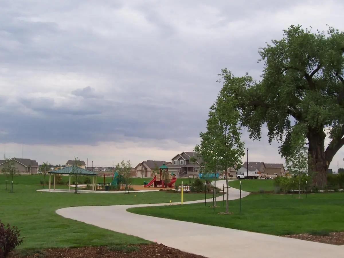 Fort Collins, CO Business With Expert Landscape Installation