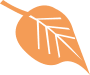 brown-leaf-icon
