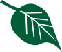 green-leaf-icon