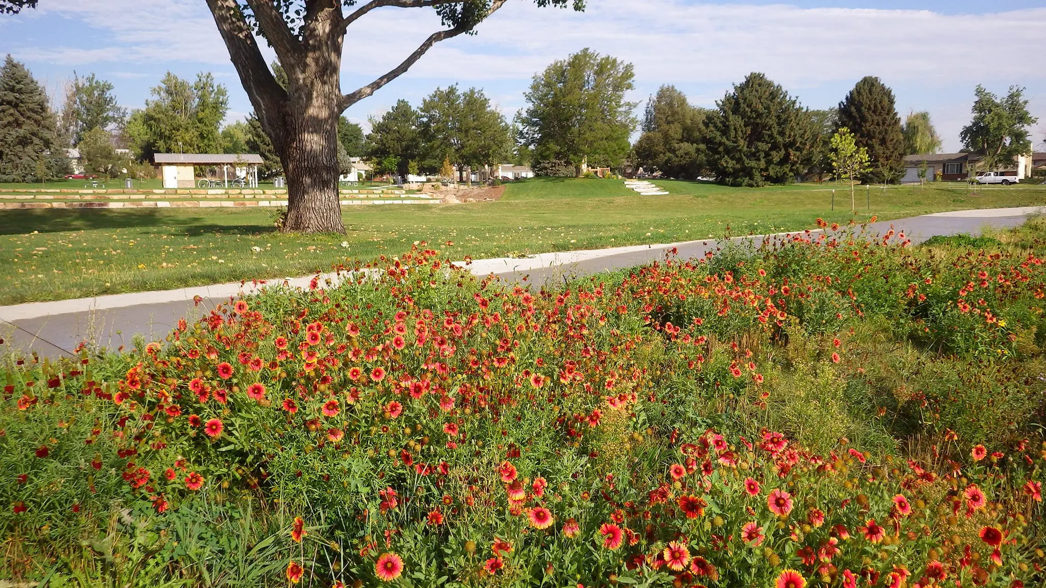 Fort Collins, CO Commercial Landscaping Companies