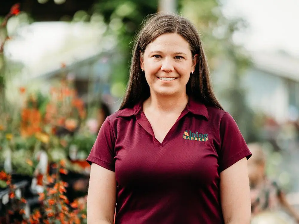 Alpine Landscape - Heidi