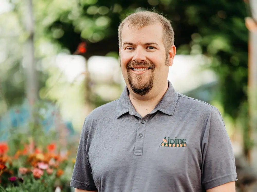 Alpine landscape - Nate