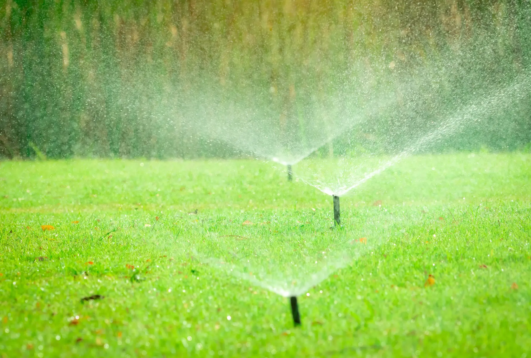 fort collins irrigation companies