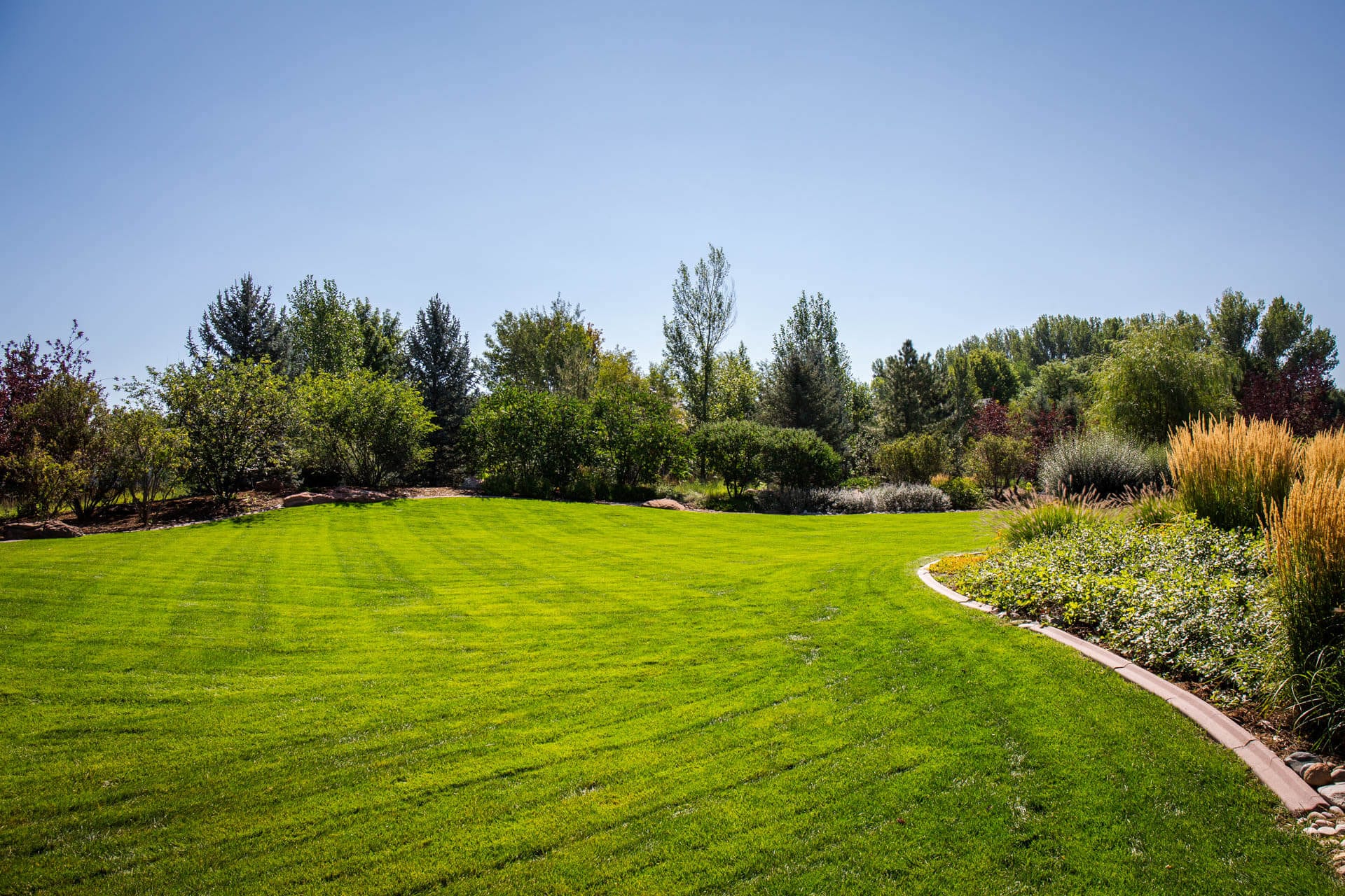 Fort Collins, CO Landscape Maintenance Services