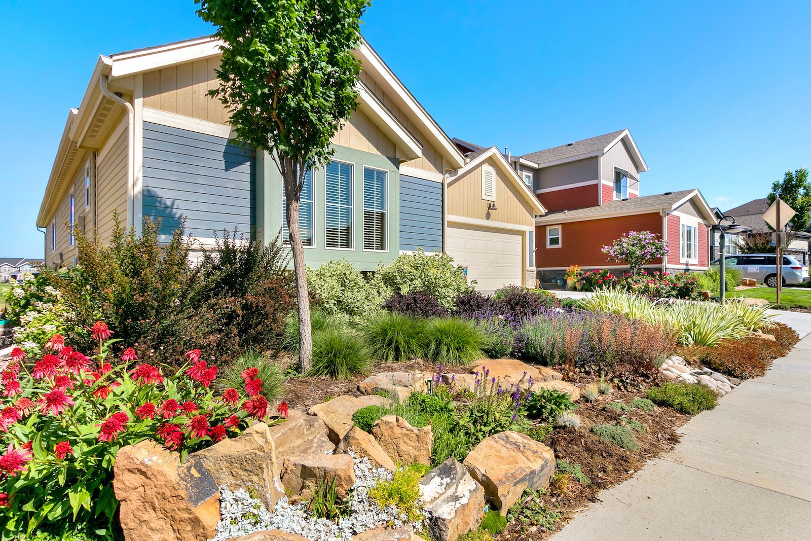 Wellington, CO Landscaping Servicess
